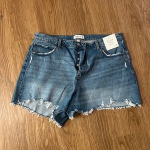 Abercrombie curve love dad short high rise size 18 / 34 NWT